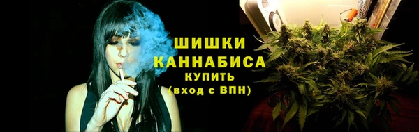 ECSTASY Лагань