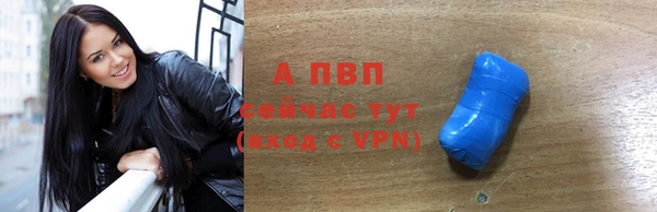 хмурый Нестеровская