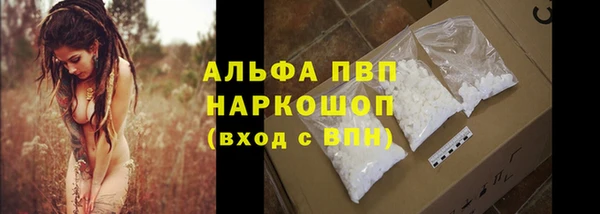 ECSTASY Лагань