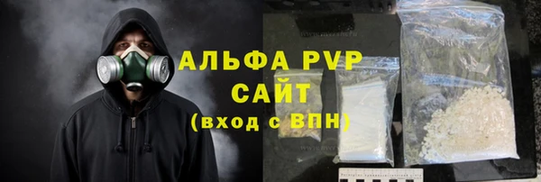 ECSTASY Лагань