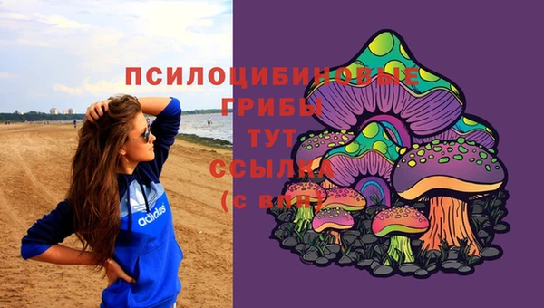 2c-b Ладушкин