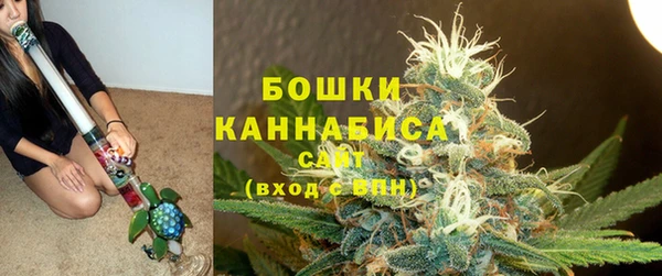 ECSTASY Лагань