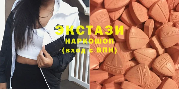 ECSTASY Лагань