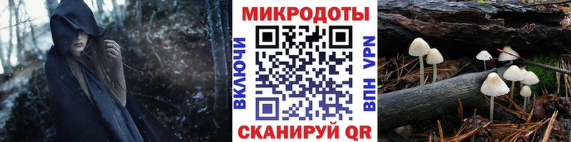 Псилоцибиновые грибы GOLDEN TEACHER  как найти наркотики  Стерлитамак 